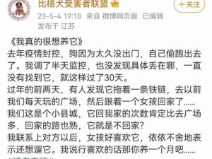 狗子失踪遇到善良网友后，可恶又感动又好笑！