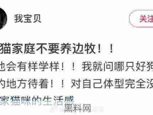 建议有猫家庭不要养边牧，哈哈哈都是争宠的